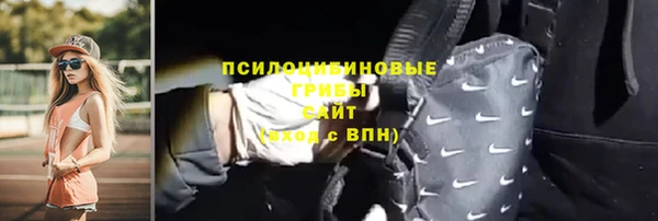 мескалин Няндома