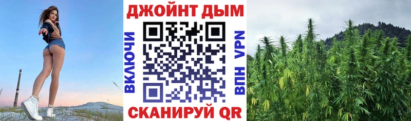 Конопля Ganja  Балабаново 